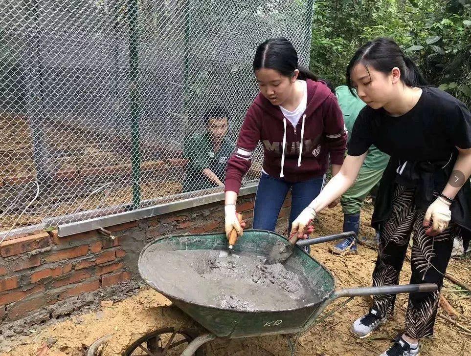 雅思国际英语培训学校，培养全球沟通之桥