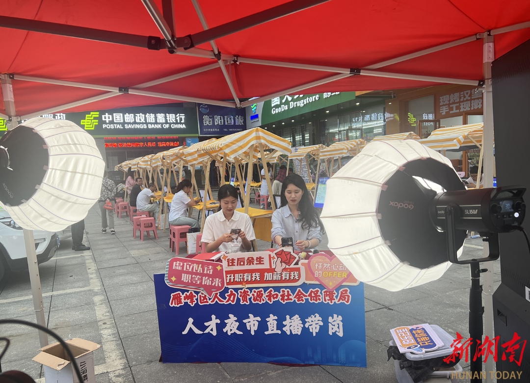 雁峰区人才市场招聘，探索人才市场的繁荣与发展