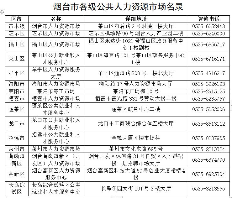 烟台信息人才网最新招聘动态及其影响