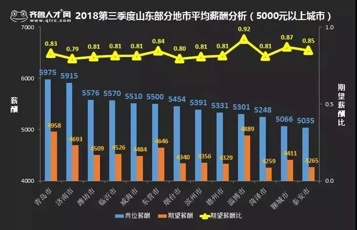 烟台齐鲁人才网最新招聘动态深度解析