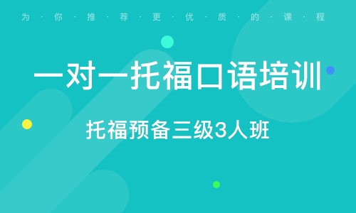 雅思一对一口语培训，深度探索与实践经验分享