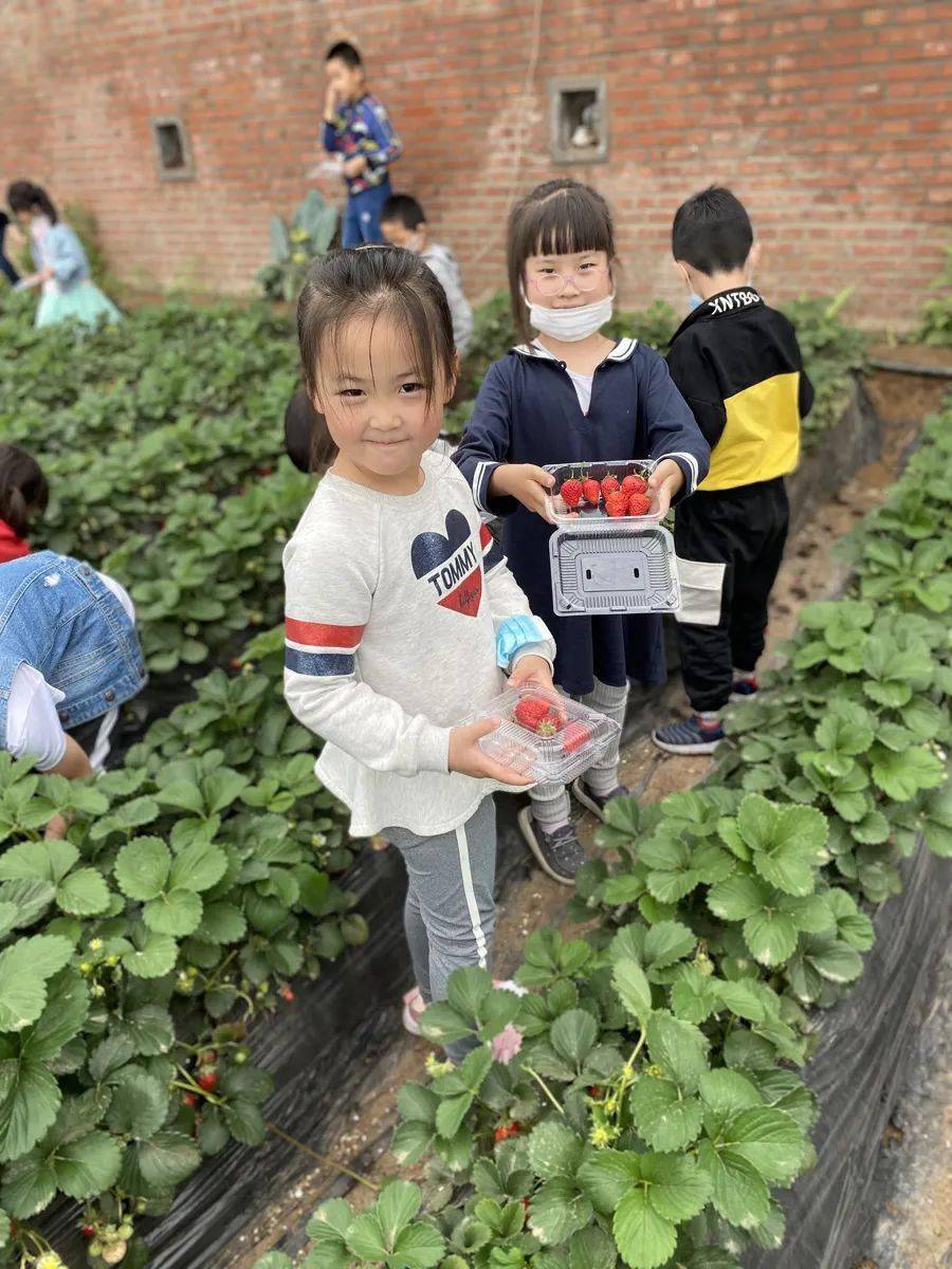 雅思报名培训，开启国际学术之旅的必经之路