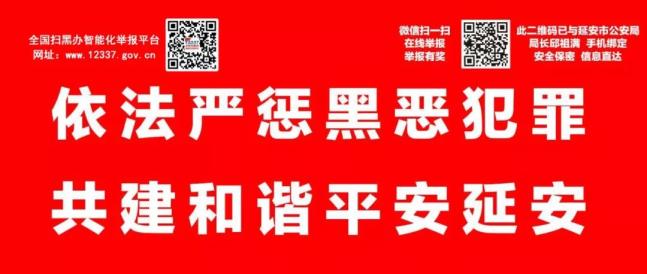 延安人才市场招聘网，连接人才与机遇的桥梁