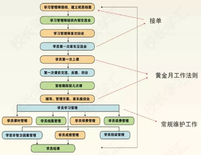 雅思培训班全方位深度解析，培训流程、方法与特色