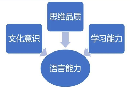 雅思培训，探索语言学习的深度与广度