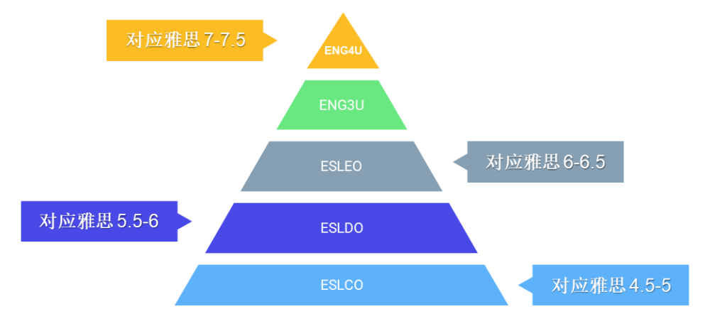 雅思91培训，打造全方位英语能力的精英教育路径