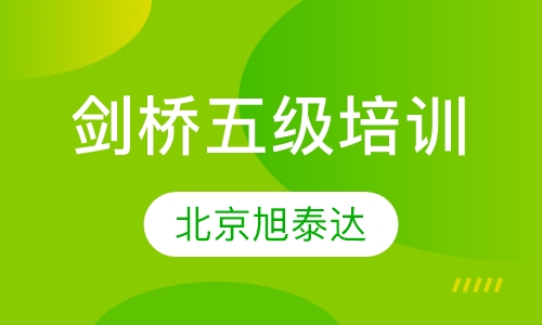 雅思语言培训课后辅导班的重要性与价值