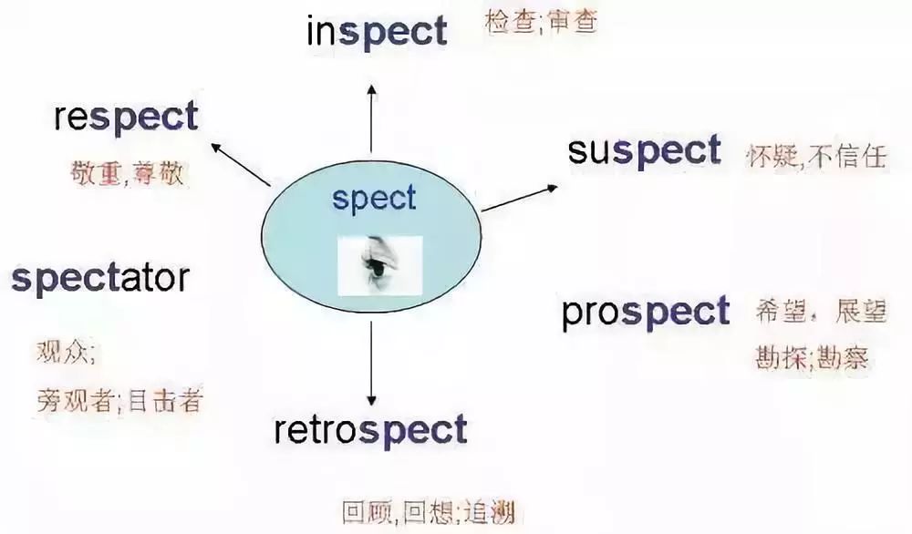 雅思培训地图，探索英语学习的全新路径