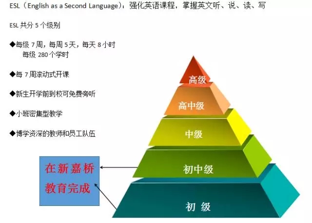 雅思7分补习，解锁留学之路的关键要素